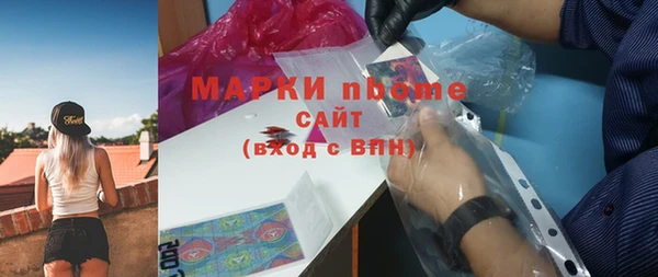 хмурый Верея