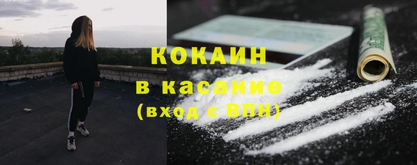 хмурый Верея