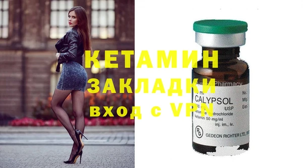 хмурый Верея