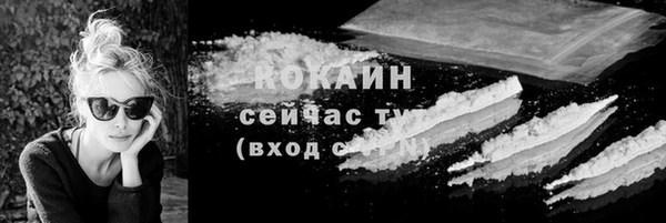 хмурый Верея