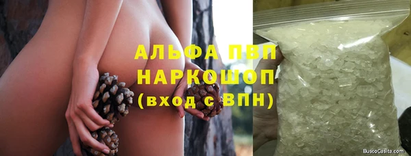 крисы Верхний Тагил