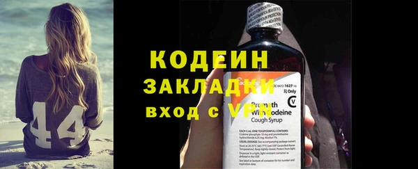 хмурый Верея