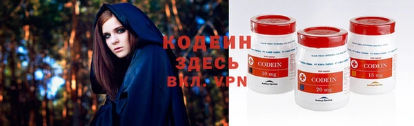 крисы Верхний Тагил