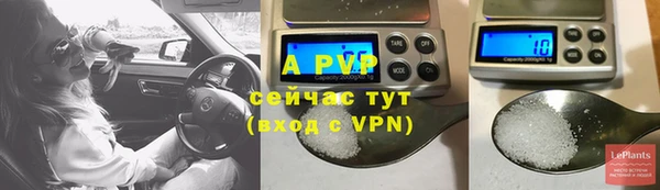 хмурый Верея