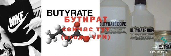 хмурый Верея