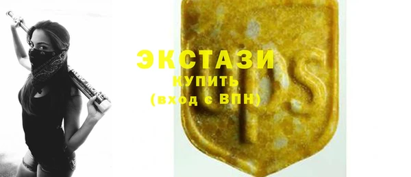 крисы Верхний Тагил