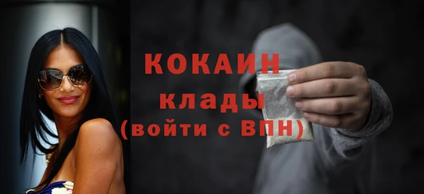хмурый Верея