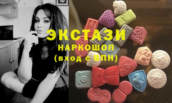 хмурый Верея