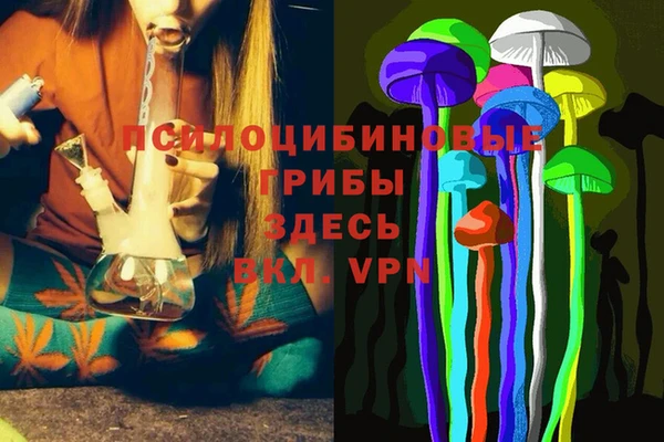 хмурый Верея