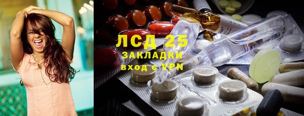 крисы Верхний Тагил