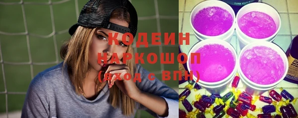 крисы Верхний Тагил