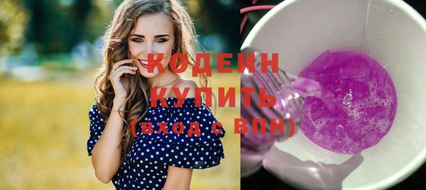 крисы Верхний Тагил