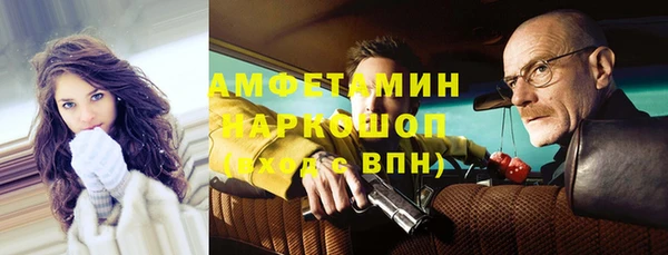 хмурый Верея
