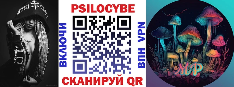 Купить где  Гаврилов-Ям  Галлюциногенные грибы Psilocybe 